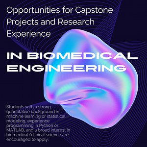 Opportunities for Capstone Projects and Research Experience