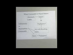 02｜Foreseeability and Its Misplacement
