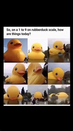 i love duck 😍 on Instagram: "Hey everyone, Johnny here to explain. This meme humorously uses a progression of images featuring a giant inflatable rubber duck in various states of inflation and distress to create a visual scale for expressing how someone is feeling, ranging from 1 (fully inflated, upright, and cheerful) to 9 (completely deflated and collapsed in a puddle), essentially acting as an emotional barometer. Each numbered photo represents a different mood or level of functioning, with 
