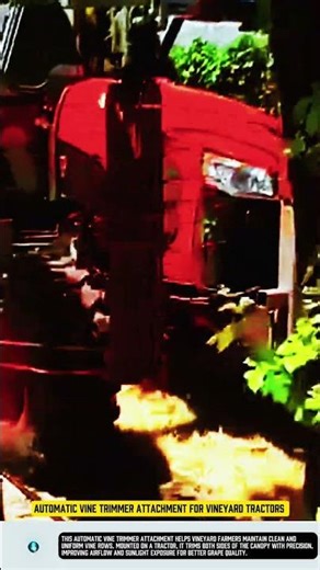 Automatic vine trimmer attachment for vineyard tractors #tool