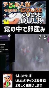 【グースグースダック】霧の中で卵産み #切り抜き