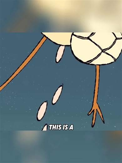 Magical Egg-Laying Chickens Save the Day