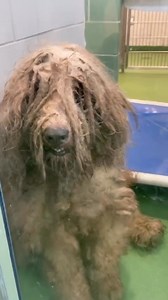 59K views · 4.4K reactions | This rescue mission was a long time...