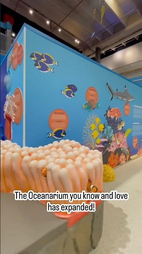 Oceanarium Expansion NOW OPEN!