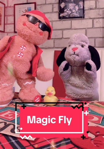 Exploring the Magic Fly Sweep Trend