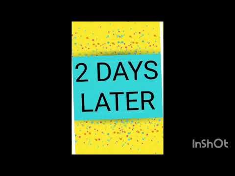 Germination of Seed Experiment| Plants | Science Experiment #ytshorts #youtubeshorts