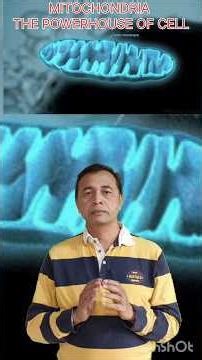 MITOCHONDRIA - THE POWERHOUSE OF THE CELL #biology #neetmotivation