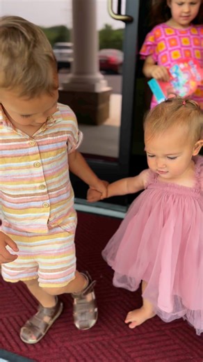 507K views · 28K reactions |  | Plant Based Gabriel | Facebook