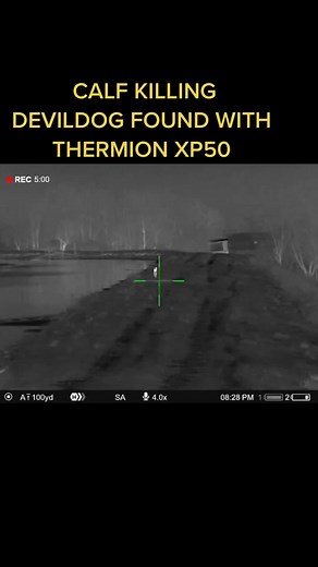 Nighttime Predator Patrol for Coyotes | Thermal Hunting Video