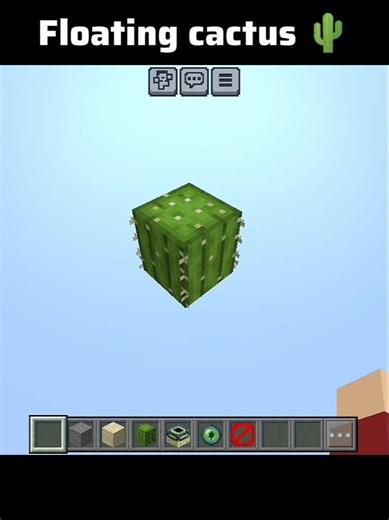 Minecraft floating cactus 🌵🎈☁️ #minecraft #shorts #lyrics