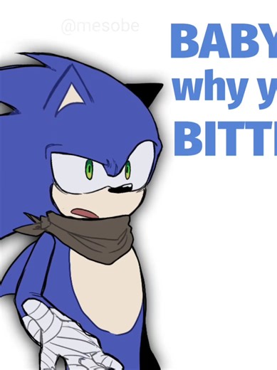 Sonic x Shadow: The Bitter Struggle