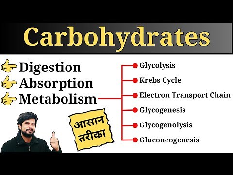 Carbohydrate Digestion, Absorption and Metabolism in Hindi | Biochemistry Lecture | Nursing | Pharma