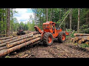 10 Classic Timberjack Machines That Ruled the Woods