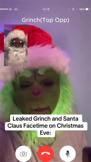 JayPierlis on Instagram: "Grinch and Santa Facetime #grinch #santa #christmas"