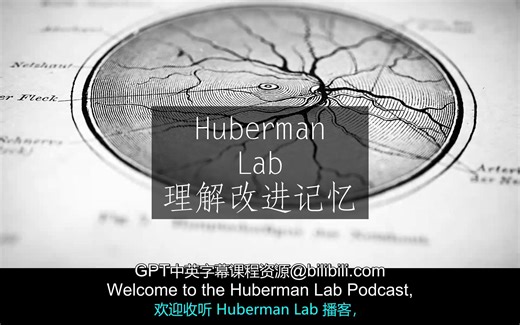 Huberman Lab《理解与改进记忆的科学工具[20220516]》中英字幕