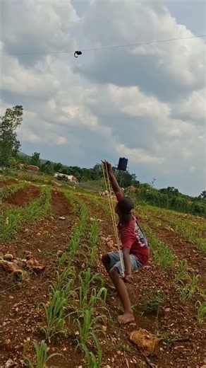 Challenging! Target Walking on a High Wire – Spectacular Stunt!