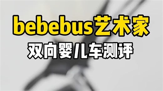 bebebus双向婴儿车测评