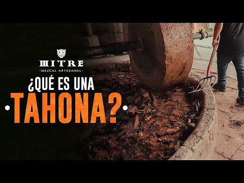 🤔¿Qué es una TAHONA? | Así TRITURAMOS el AGAVE para MEZCAL MITRE🐆