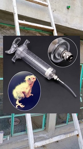Handfeeding syringe for birds 💉 #viralvideo #goviral #tipsandtricks #lovebirds #allbirds #trending #handfeeding