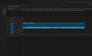 The problem of the Fx badge narrowing the display area of ​​the audio waveform is a problem that sho