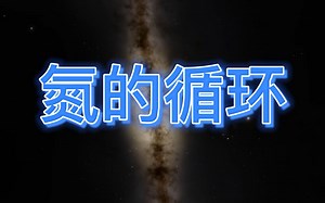 氮的循环