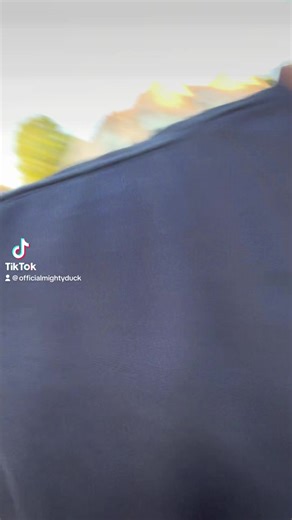 Who remembers this video? 😂😂😂. We recreated it! “The Bugs!? MightyMom | MightyDuck