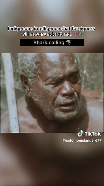 Shark Calling Traditions of the Solomon Islands