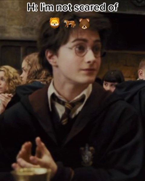 Harry Potter Hermione Funny Video
