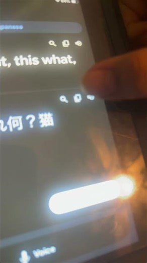 Google translate language English to Japanese the￼ Spanish￼