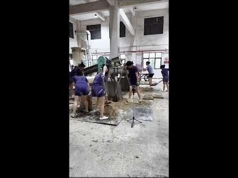 POV Girls Stomping Fermentation Bricks — Traditional Chinese Winemaking in Action