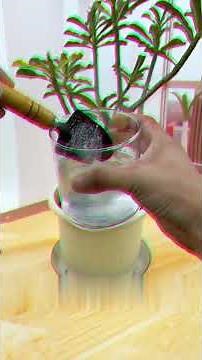 How to make homemade fertilizer