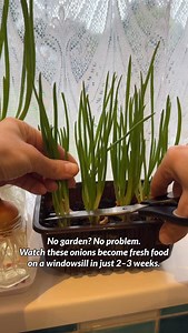 1.7K views · 168 reactions | This is one of the easiest ways to start...