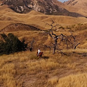 49K views · 1.6K reactions | Well the day is finally here !! I’ve been so excited to share The One That You Love with everyone ❤️  | LP | Facebook