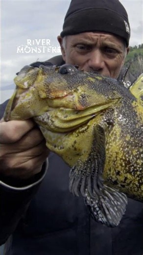 This fish can live to 120 years old ‼️
