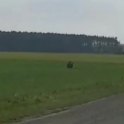 Javalinointeriordesp no TikTok