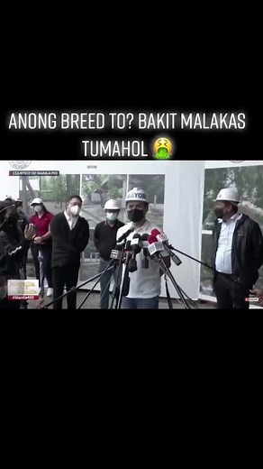 The Vloger bone for you 🦴🦴 #aspindog