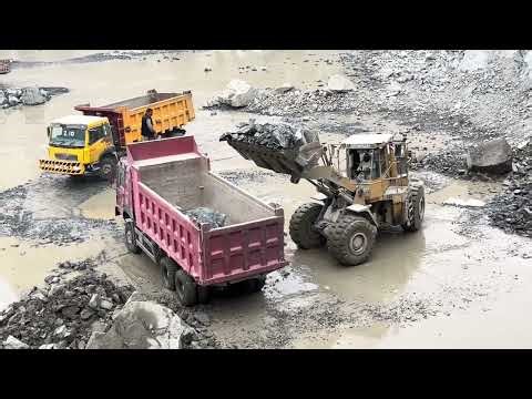 Caterpillar 966D Wheel Loader Loading Huge Rocks into Dump Truck | Powerful Quarry Heavy Machinery