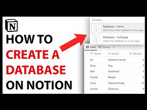 How to Create a Database in Notion