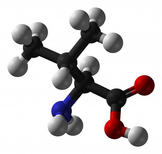 Définition | Valine : qu'est-ce que c'est ? | Futura santé