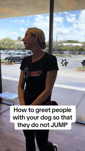 Dog Training Tips: How to Greet Your Dog Properly