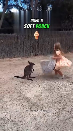 A little girl saved a lost kangaroo #shorts