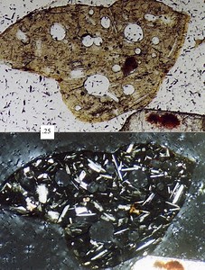 Petrographic microscope - Alchetron, the free social encyclopedia
