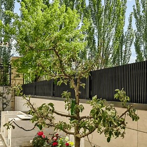 [Hot Item] Stylish Natural Balcony Fence and Guard Railing for Outdoor Spaces