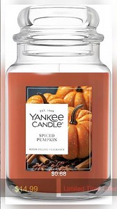 Yankee Candle Spiced Pumpkin, Fall Scented Candle, 22oz Large Jar with up to 150 Hour Burn Time