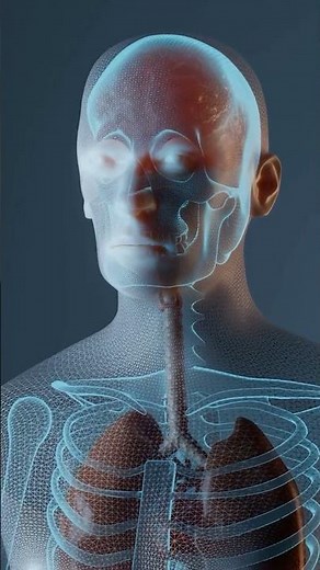 Introduction to respiratory system