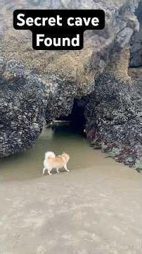 This hidden sea cave only appears at the lowest tide… 🌊 #cave #secret