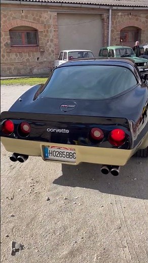 CHEVROLET CORVETTE C3 del AÑO 1981 #automobile #corvettec3