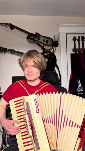 The Godfather Waltz on Accordion
