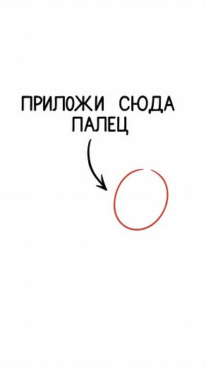Доставка цветов в Москве и МО on Instagram: "Всем новым подписчикам дарим скидку на первый цветочный заказ -> @tyt_tsvety 😍"