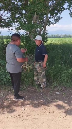 底肥用农夫情菌大帝，施肥省效果更有底气